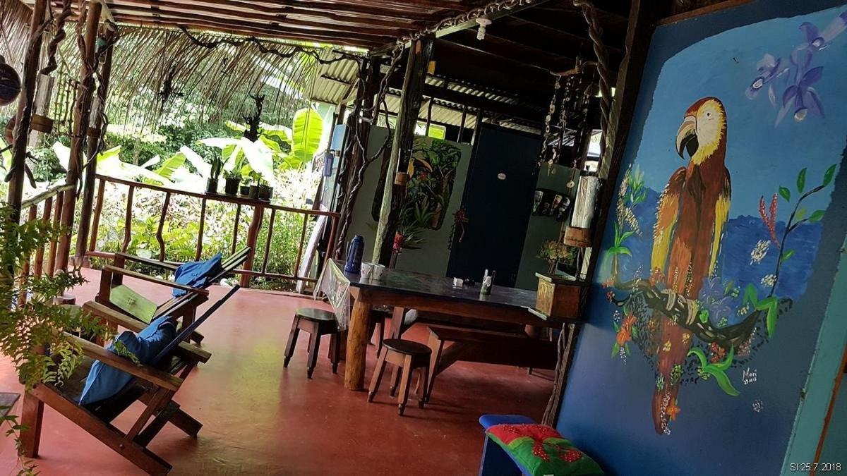 Vista Alta Ecolodge Bahia Drake Drakes Bay エクステリア 写真