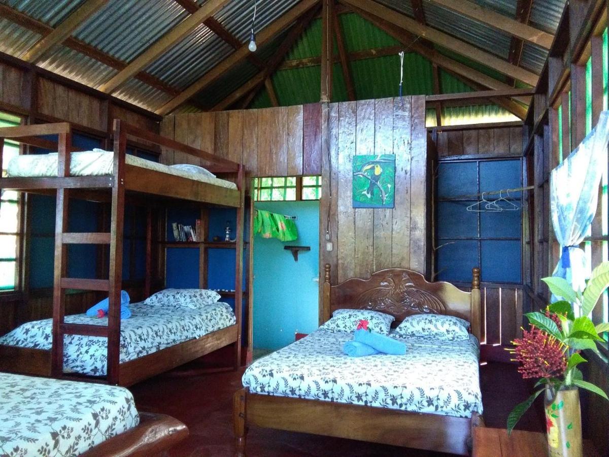 Vista Alta Ecolodge Bahia Drake Drakes Bay エクステリア 写真