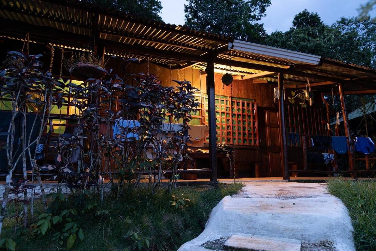 Vista Alta Ecolodge Bahia Drake Drakes Bay エクステリア 写真