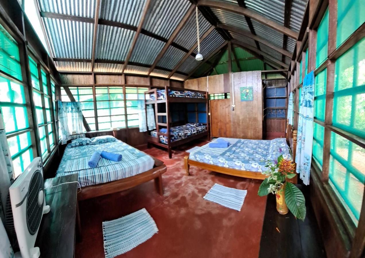 Vista Alta Ecolodge Bahia Drake Drakes Bay エクステリア 写真