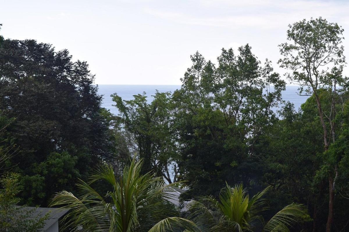 Vista Alta Ecolodge Bahia Drake Drakes Bay エクステリア 写真
