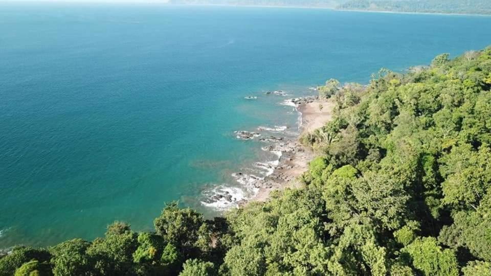 Vista Alta Ecolodge Bahia Drake Drakes Bay エクステリア 写真