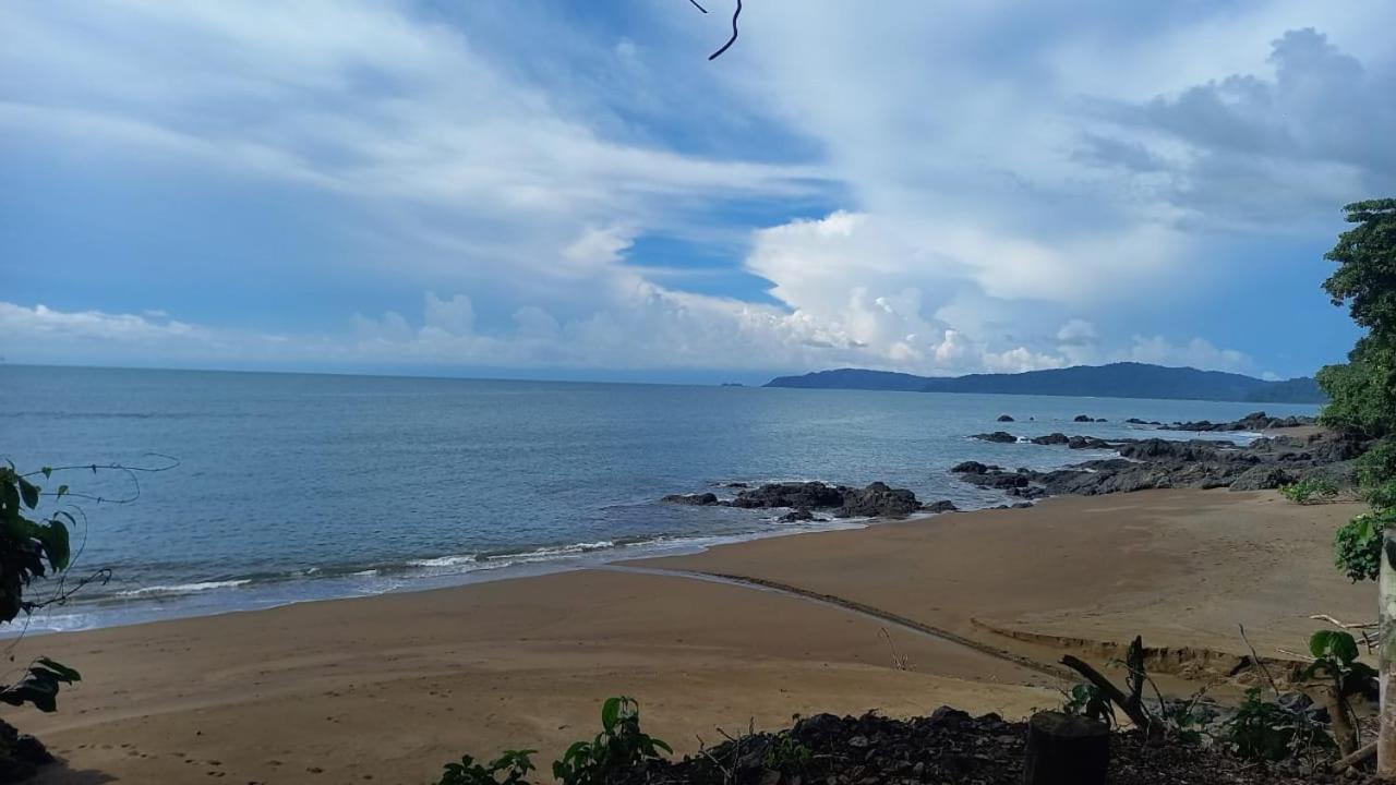 Vista Alta Ecolodge Bahia Drake Drakes Bay エクステリア 写真