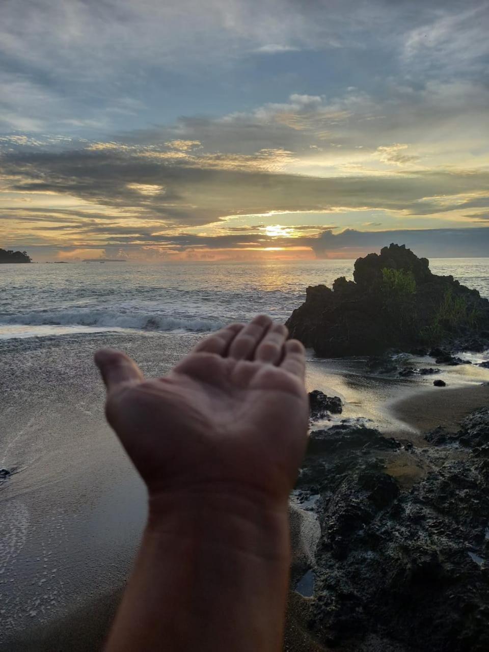 Vista Alta Ecolodge Bahia Drake Drakes Bay エクステリア 写真