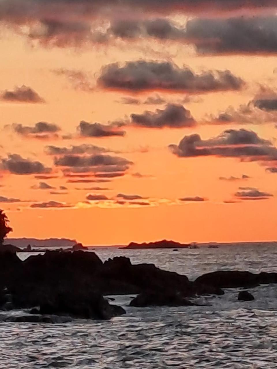 Vista Alta Ecolodge Bahia Drake Drakes Bay エクステリア 写真