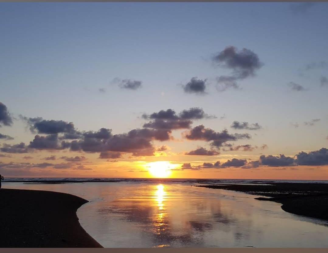 Vista Alta Ecolodge Bahia Drake Drakes Bay エクステリア 写真