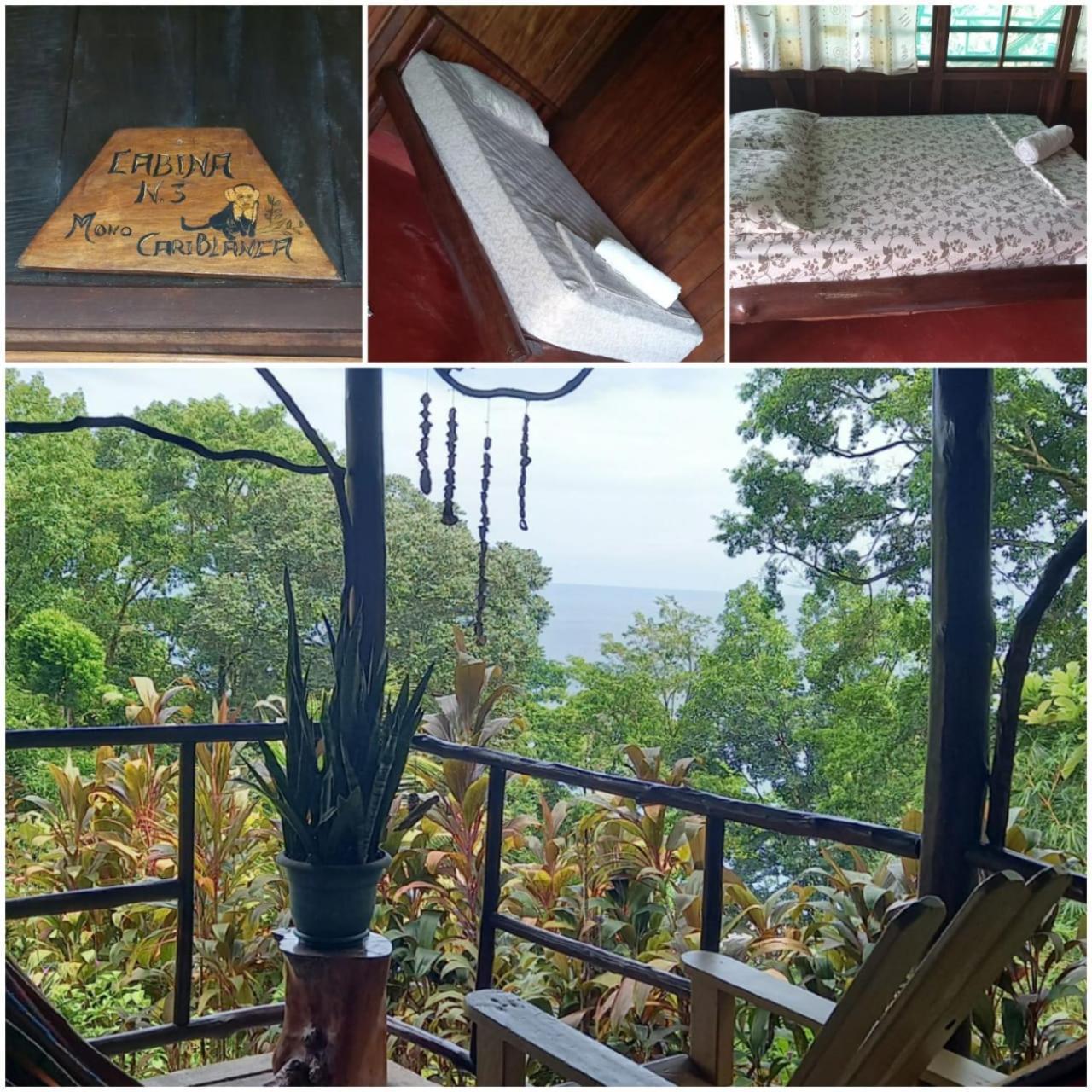Vista Alta Ecolodge Bahia Drake Drakes Bay エクステリア 写真