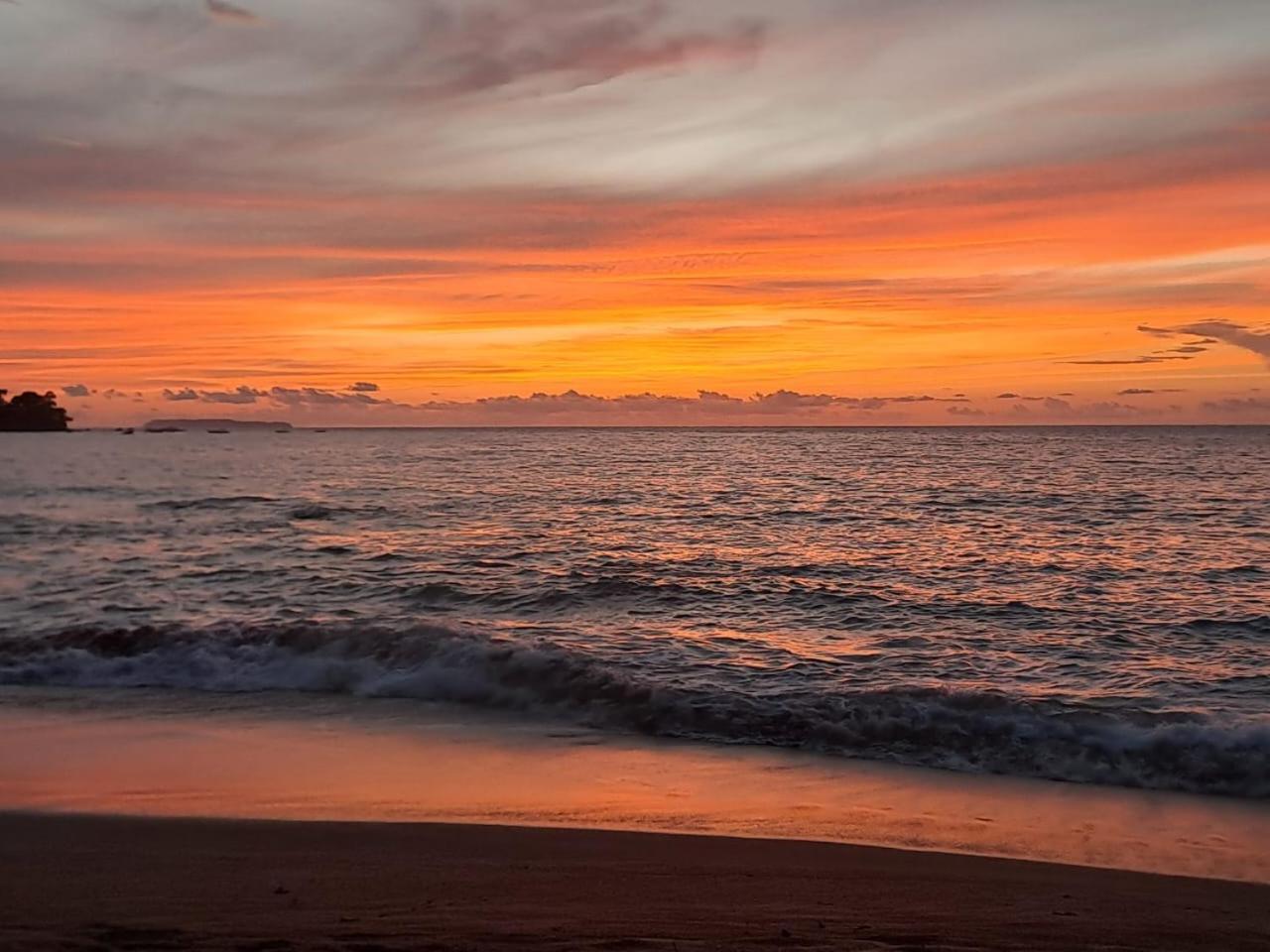 Vista Alta Ecolodge Bahia Drake Drakes Bay エクステリア 写真