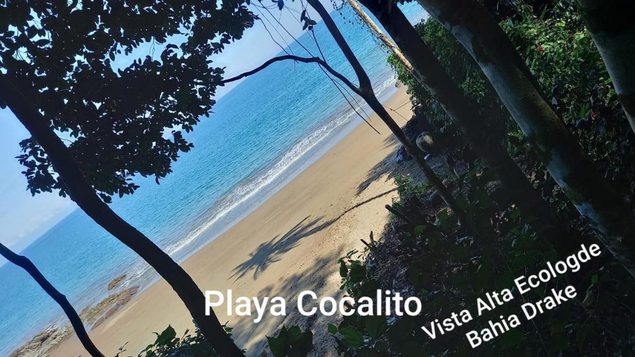 Vista Alta Ecolodge Bahia Drake Drakes Bay エクステリア 写真